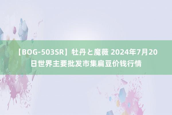 【BOG-503SR】牡丹と魔薇 2024年7月20日世界主要批发市集扁豆价钱行情