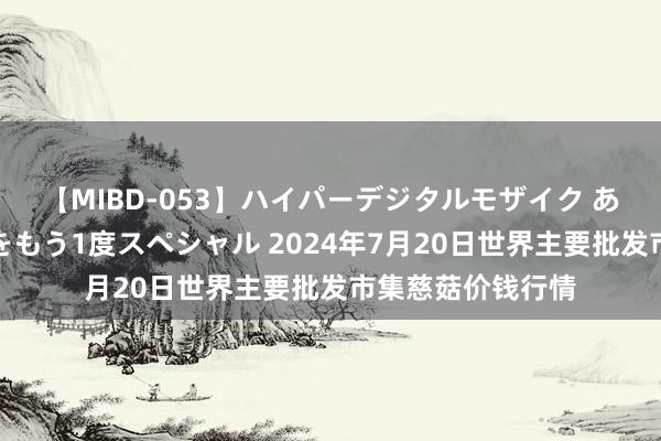 【MIBD-053】ハイパーデジタルモザイク あの娘のセックスをもう1度スペシャル 2024年7月20日世界主要批发市集慈菇价钱行情