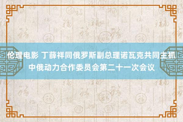 伦理电影 丁薛祥同俄罗斯副总理诺瓦克共同主抓中俄动力合作委员会第二十一次会议