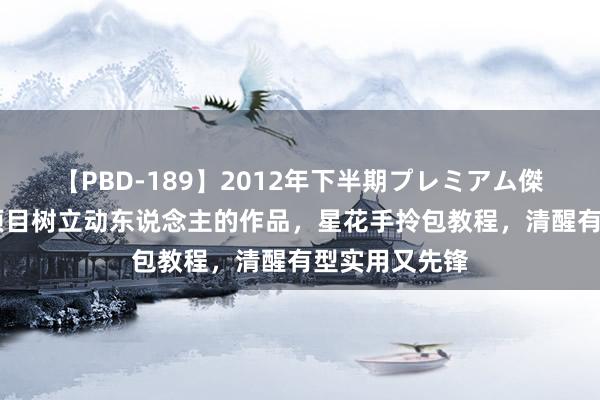 【PBD-189】2012年下半期プレミアム傑作選 美艳的项目树立动东说念主的作品，星花手拎包教程，清醒有型实用又先锋