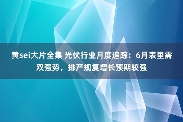 黄sei大片全集 光伏行业月度追踪：6月表里需双强势，排产规复增长预期较强