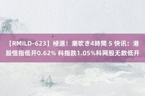 【RMILD-623】極選！潮吹き4時間 5 快讯：港股恒指低开0.62% 科指跌1.05%科网股无数低开