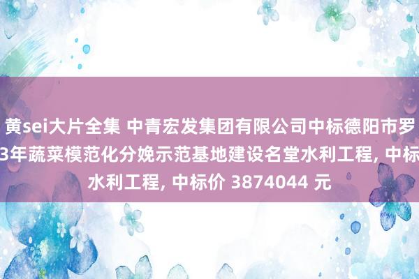 黄sei大片全集 中青宏发集团有限公司中标德阳市罗江区略坪镇2023年蔬菜模范化分娩示范基地建设名堂水利工程， 中标价 3874044 元