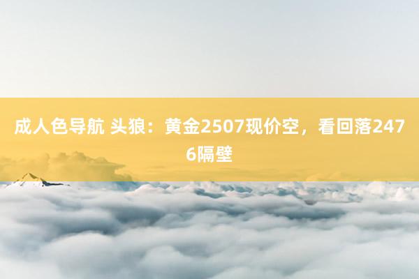 成人色导航 头狼：黄金2507现价空，看回落2476隔壁