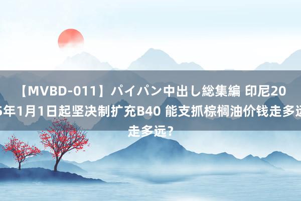 【MVBD-011】パイパン中出し総集編 印尼2025年1月1日起坚决制扩充B40 能支抓棕榈油价钱走多远？