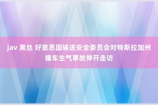 jav 黑丝 好意思国输送安全委员会对特斯拉加州撞车生气事故伸开走访