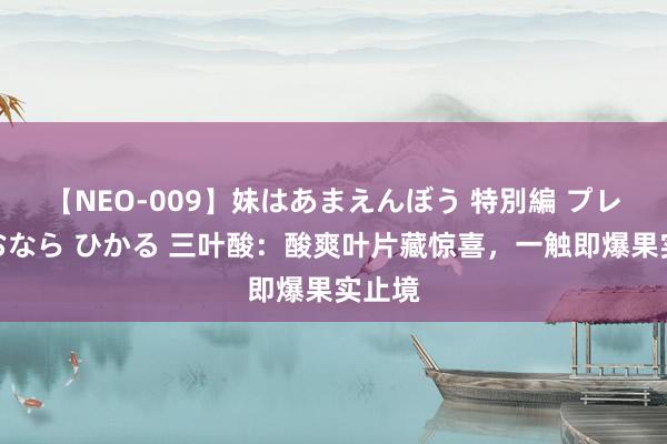 【NEO-009】妹はあまえんぼう 特別編 プレミアおなら ひかる 三叶酸：酸爽叶片藏惊喜，一触即爆果实止境