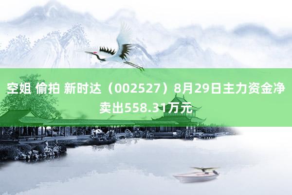 空姐 偷拍 新时达（002527）8月29日主力资金净卖出558.31万元