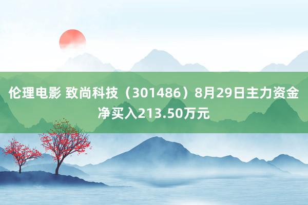 伦理电影 致尚科技（301486）8月29日主力资金净买入213.50万元