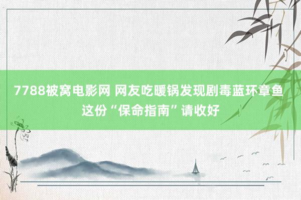 7788被窝电影网 网友吃暖锅发现剧毒蓝环章鱼 这份“保命指南”请收好