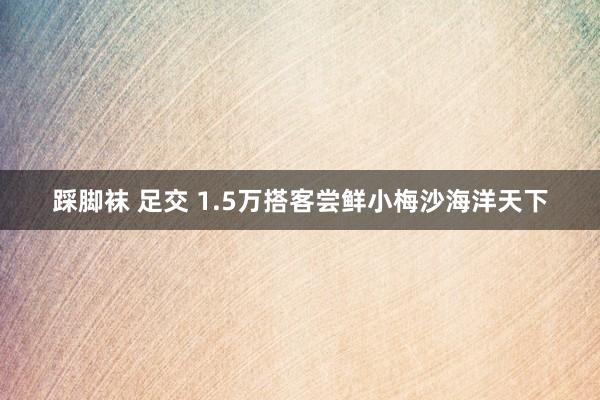 踩脚袜 足交 1.5万搭客尝鲜小梅沙海洋天下