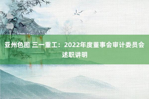 亚州色图 三一重工：2022年度董事会审计委员会述职讲明