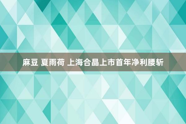 麻豆 夏雨荷 上海合晶上市首年净利腰斩