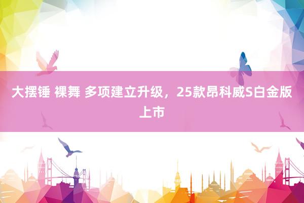 大摆锤 裸舞 多项建立升级，25款昂科威S白金版上市
